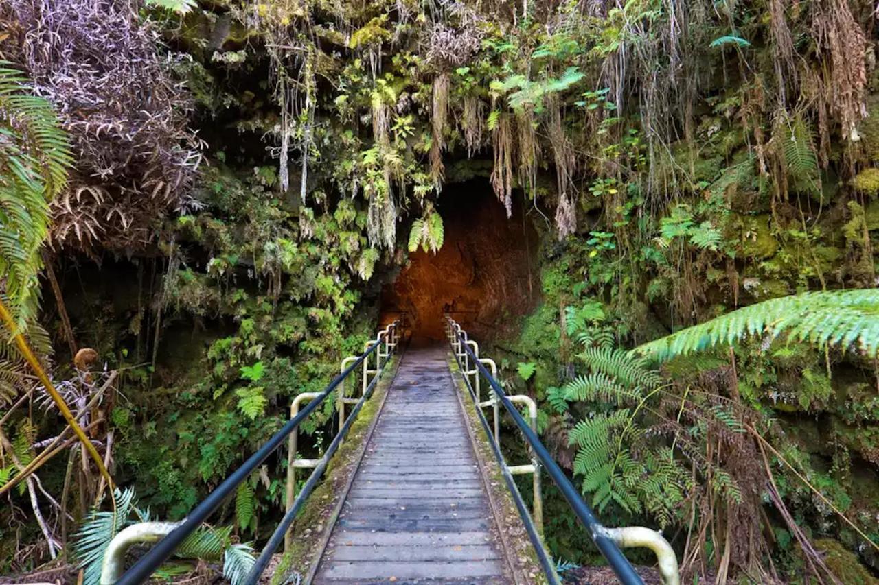 Puna Pod Pahoa Buitenkant foto
